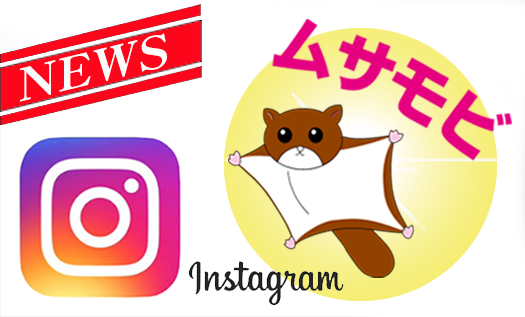 ムサモビのインスタ